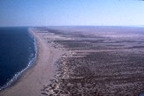 Arial photograph of the Laguna Madre region.